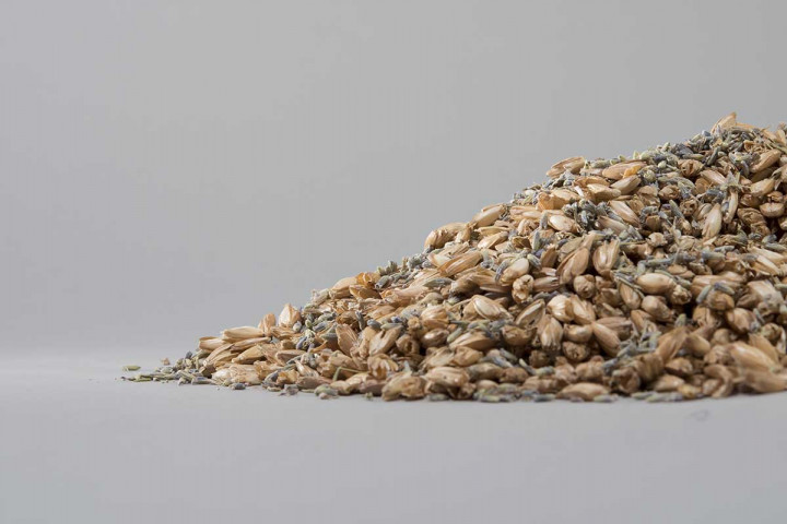 ein Haufen brauner Körner